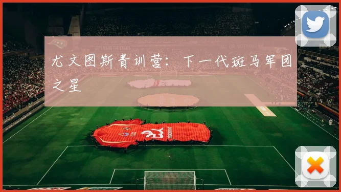 尤文图斯青训营:下一代斑马军团之星